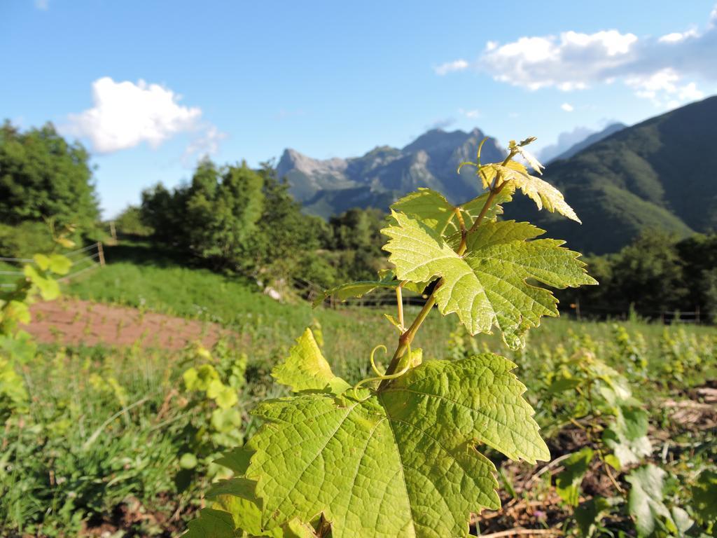 Careggine Rifugio Alpi Apuane酒店 外观 照片
